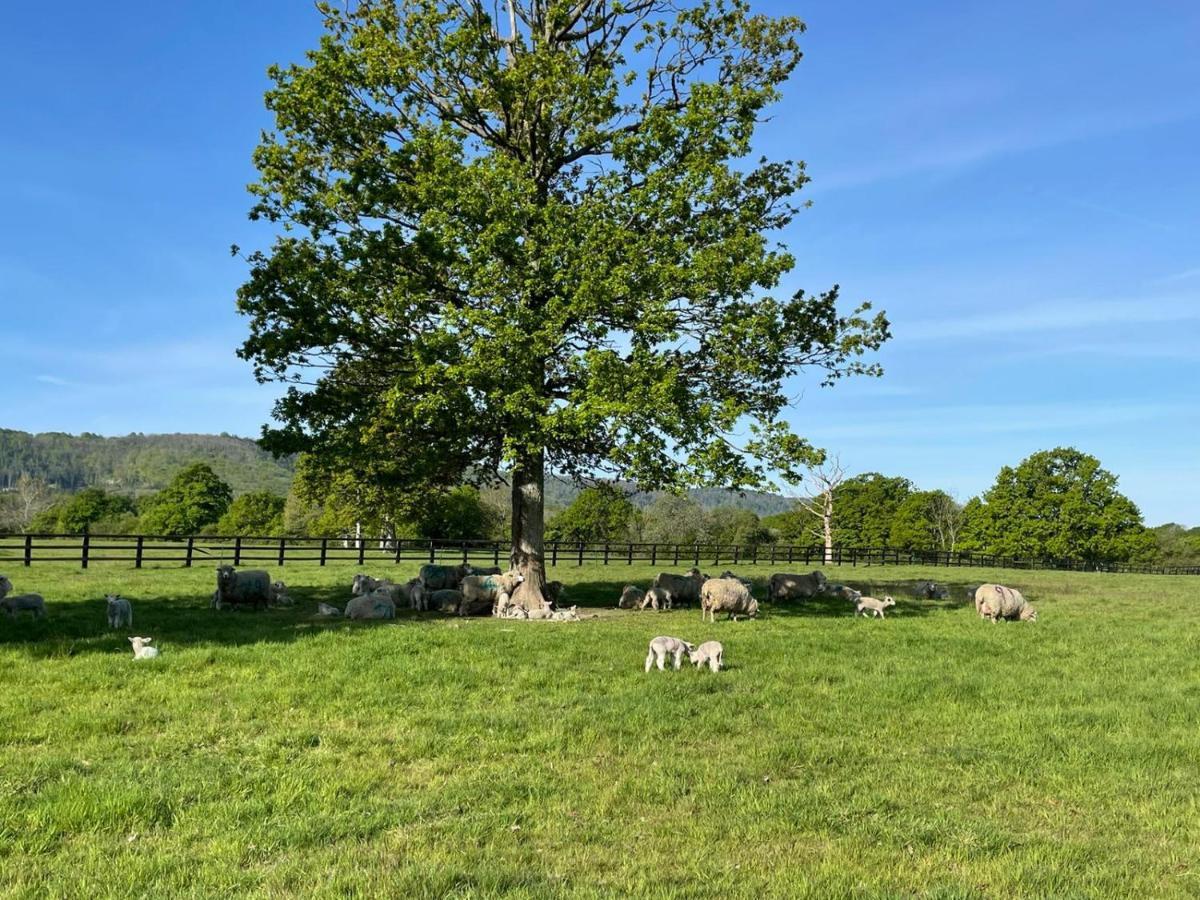 Beautiful Yurt With Stunning South Downs Views * Graffham